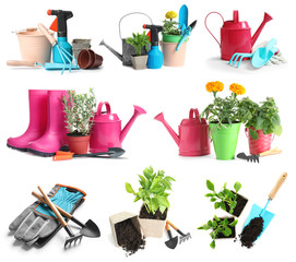 Set with modern gardening tools on white background