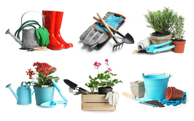 Set with modern gardening tools on white background