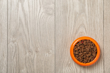 Bowl with food for cat or dog on wooden background. Pet care