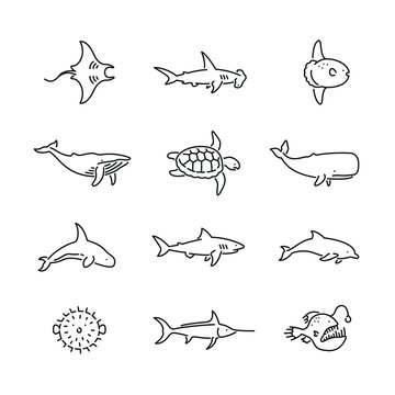 Sea Animal Outline Images – Browse 83,072 Stock Photos, Vectors, and Video  | Adobe Stock