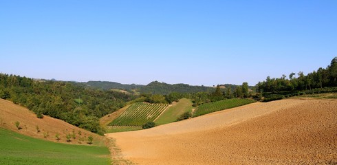 Beautiful hilly landscape characterized by grapes cultivation