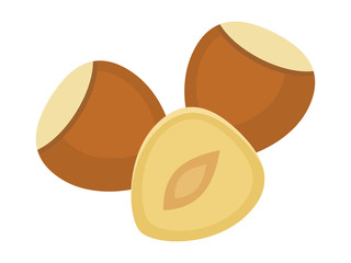 Hazelnuts isolated on white background, vector illustration