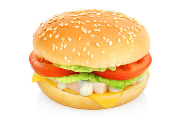 Hamburger sandwich isolated
