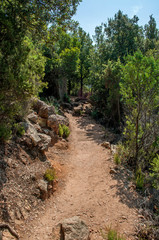 Forest path on the island of Corsica in France (region Calanche)