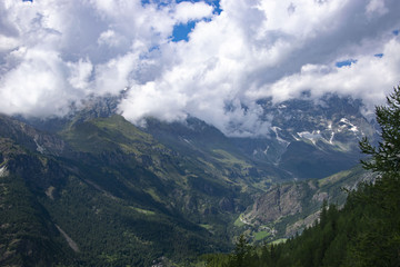 beautiful mountain landscape with green pine forest and sad sky