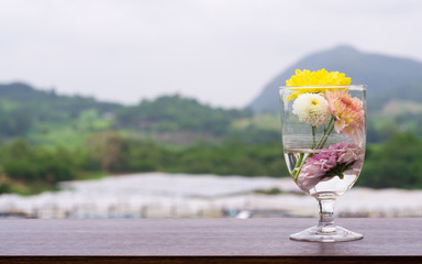 Bouquet of chrysanthemum in glass jar on wooden table with mountain background. Vase on table outdoor decoration at Bigtae chrysanthemum flower farm, Saraburi, Thailand.