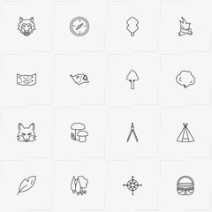 Forest line icon set with wolf, compass and forest