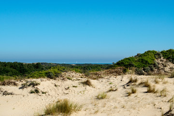 Dune Marchand in Frankreich