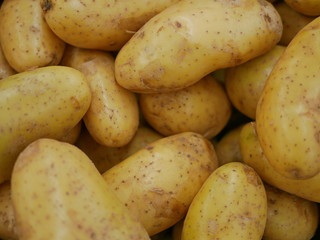 Close up background of raw potatoes