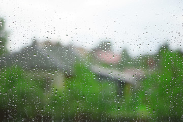 Rain drops on translucent wet glass with with green blurred trees and houses in background through window. 