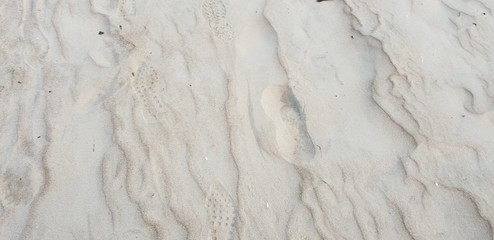 Sand of the baltic sea beach