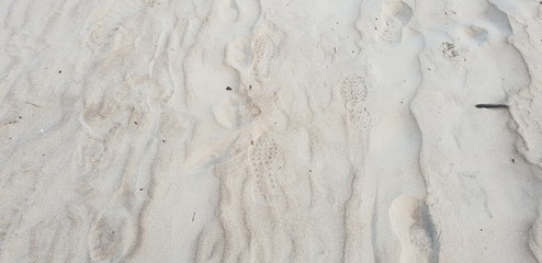Sand of the baltic sea beach