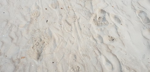 Sand of the baltic sea beach