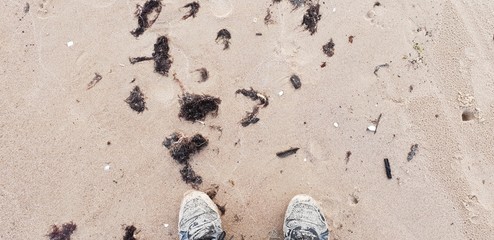 Sand of the baltic sea beach