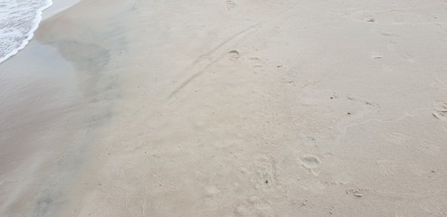 Sand of the baltic sea beach