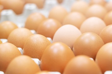 close up whole eggs in box. Chicken egg many. soft focus	