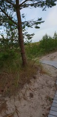 Pathway, road to the Baltic sea beach