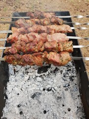 Barbeque of baked meat