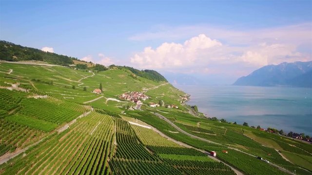4K Aerial footage of Vineyard fields in Terrasses de Lavaux near Lausanne, Switzerland - UHD