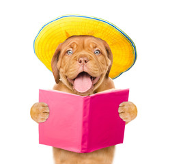 Happy puppy in summer hat reading a book