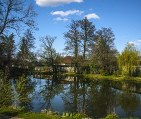 Fototapeta na wymiar Park with pond