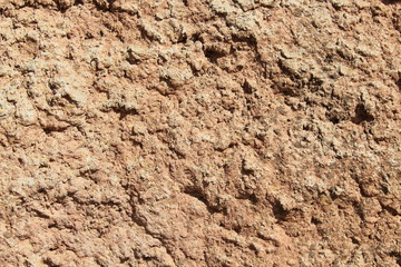 Decorative concrete wall. Background. Texture.