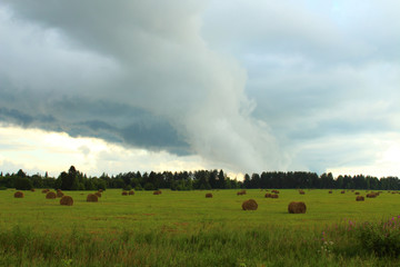 A beautiful green field and an impending storm. Background. Landscape.