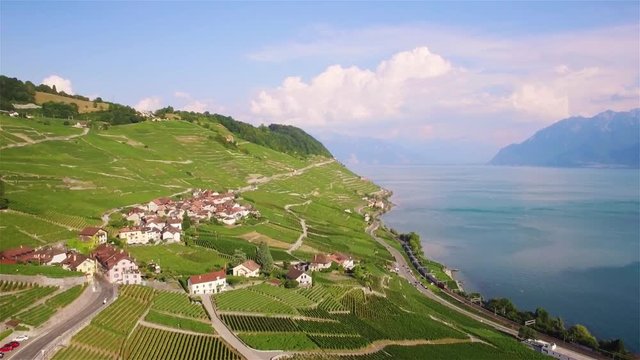 4K Aerial footage of Vineyard fields in Terrasses de Lavaux near Lausanne, Switzerland - UHD