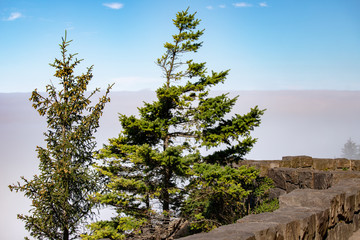 Foggy, Misty, Morning on the Oregon Coast in the Pacific Northwest USA