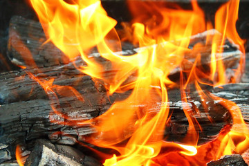 A beautiful flame and firewood. Bonfire. Close-up. Background. Texture.