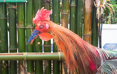 Chicken dolls made from leaves and twigs