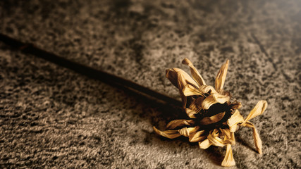 a withered chrysanthemum flower on floor in vintage tone