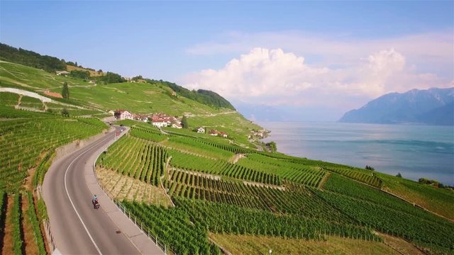 4K Aerial footage of Vineyard fields in Terrasses de Lavaux near Lausanne, Switzerland - UHD