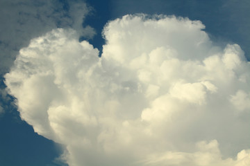 A big fluffy white cloud. Background. Landscape.