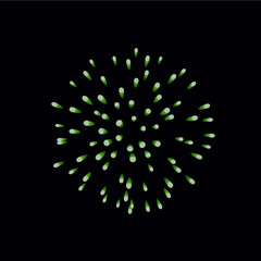Beautiful green firework. Bright firework isolated on black background. Light green decoration firework for Christmas, New Year celebration, holiday, festival, birthday card. Vector illustration