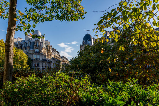 paris, jardin coul&eacute;e verte