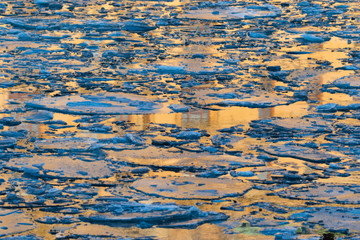 ice floes with yellow reflection