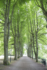 Slottstradgardens Park, Malmo