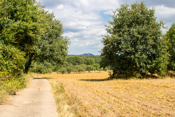 Fototapeta premium Feldweg im Saarland