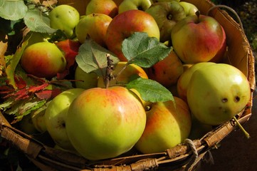 Autumn in my country house. 1 September 2017