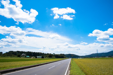 Fototapeta premium 田舎の道