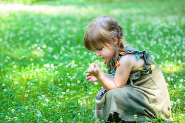 Obraz premium girl at the flower field