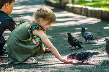 children fed pigeons