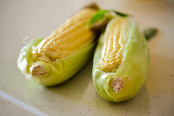 Fresh corn on the cob on the table, close-up