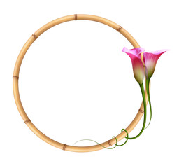 Realistic pink calla lily, bamboo frame.