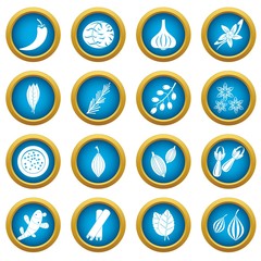 Spice icons blue circle set isolated on white for digital marketing