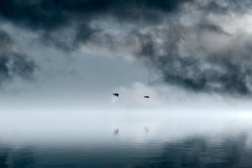 Ducks flying over water with the dramatic sky