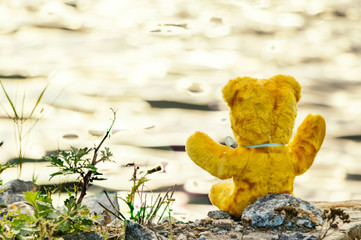 Teddy bear sitting by the water