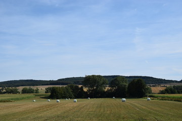 Fototapeta na wymiar Heuernte im Weserbergland