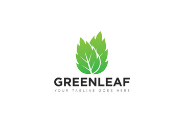 leaf logo and icon Vector design Template